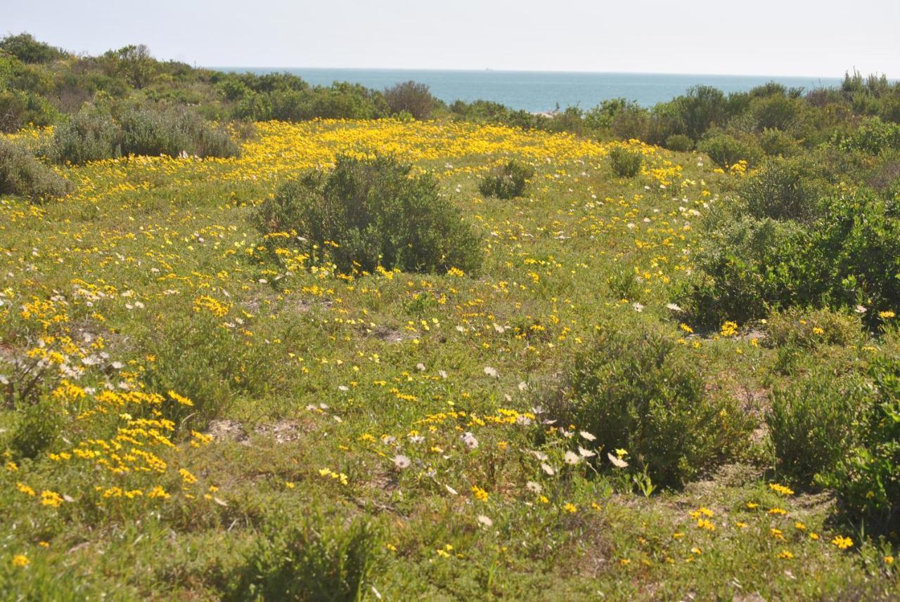 Stay At Bokkoms In Paternoster Self Catering Accommodation Екстериор снимка