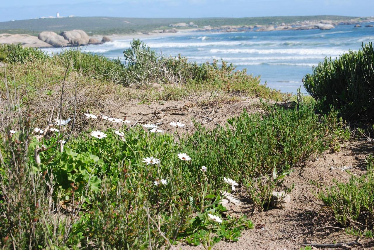 Stay At Bokkoms In Paternoster Self Catering Accommodation Екстериор снимка