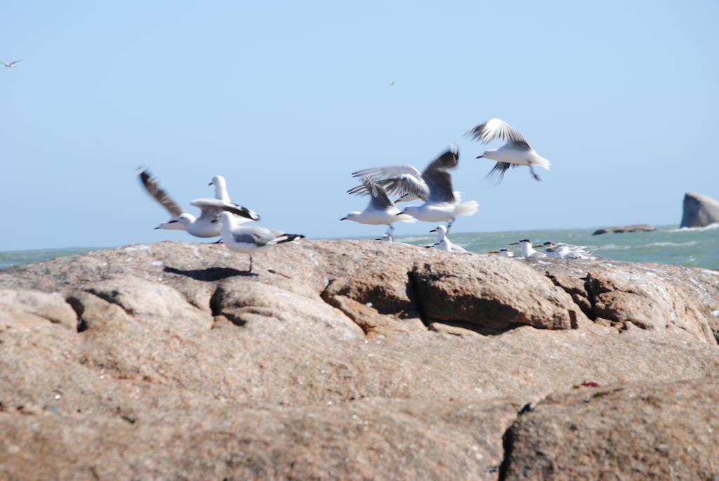 Stay At Bokkoms In Paternoster Self Catering Accommodation Екстериор снимка